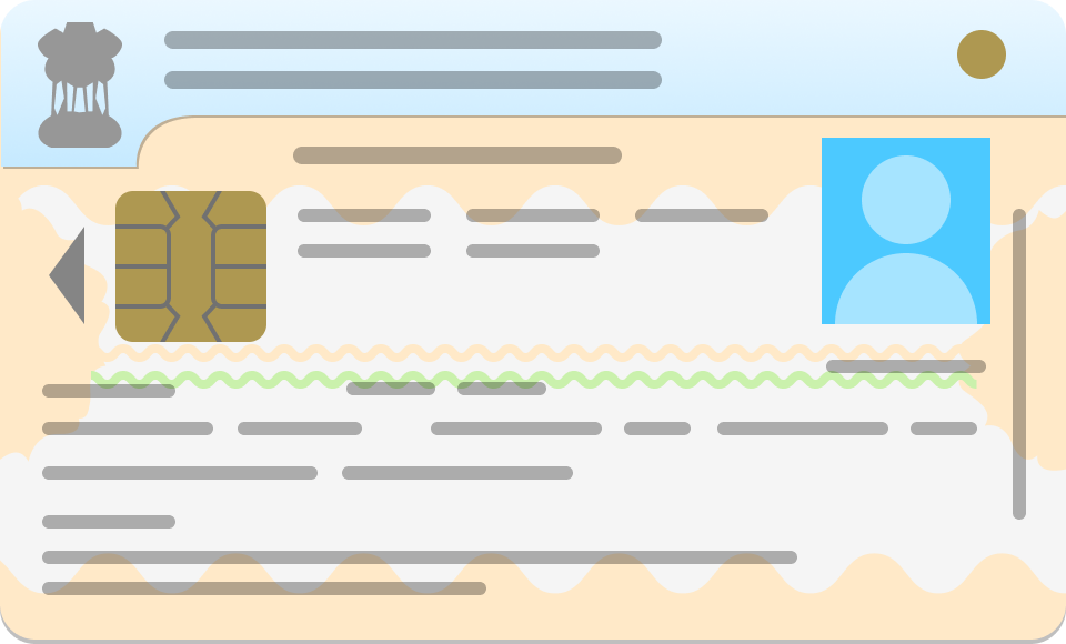 India_driverslicence